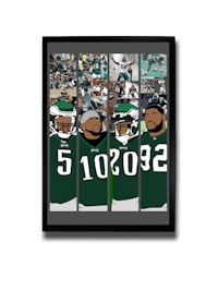 philadelphia eagles framed collage